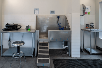 Pet grooming station with stainless steel tub